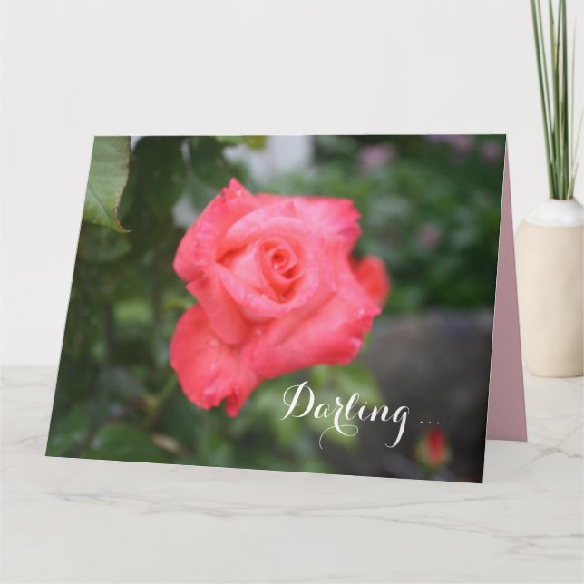 One Beautiful Pink Rose, Big Greeting Card (Front)