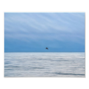 One Bird Alone Over the Foggy Sea Photographic Photo Print