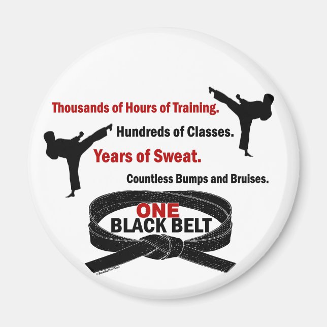 ONE Black Belt 1 KARATE T-SHIRTS & APPAREL Magnet (Front)