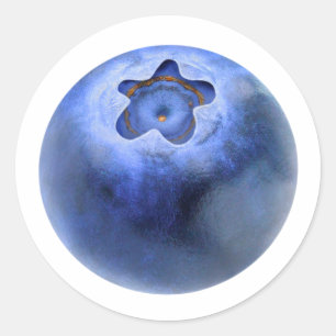 One blueberry classic round sticker