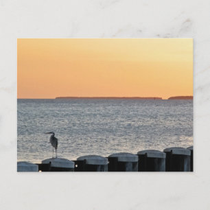 One Calm Evening Postcard