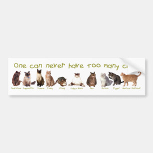 One can NEVER have too many cats. Bumper Sticker
