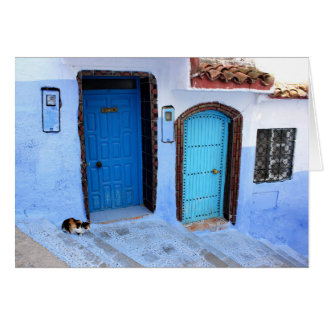 One Cat - Two Blue Moroccan Doors