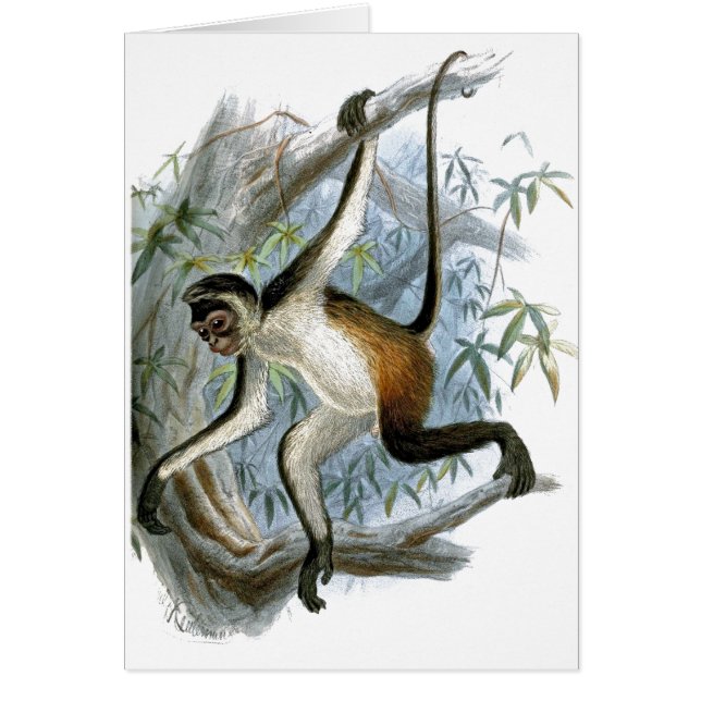 One Cheeky Monkey CC0366 Children's Card (Front)