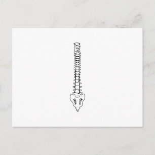 ONE COLOR SPINE POSTCARD