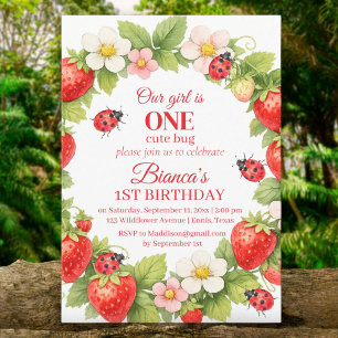 ONE Cute Bug Ladybug 1st Birthday Invitation