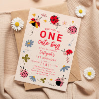 ONE Cute Bug Ladybug 1st Birthday Party 