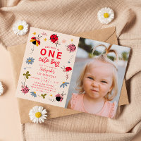 ONE Cute Bug Ladybug 1st Birthday Party Photo