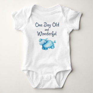 One Day Old & Wonderful! Baby Bodysuit