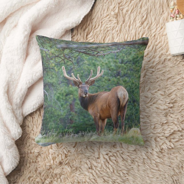 One Elk Looking Back | Rocky Mountains Cushion (Blanket)
