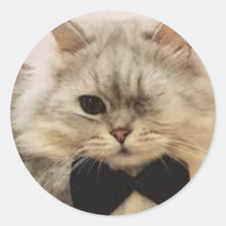 One-eyed Cat Classic Round Sticker