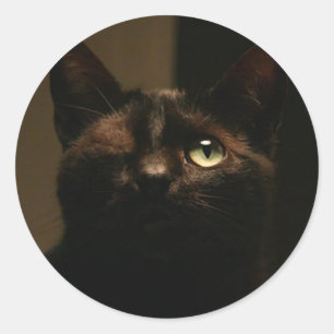 One-eyed cat- Tom Sawyer Classic Round Sticker