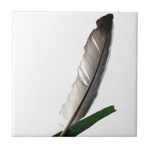 One Feather Tile