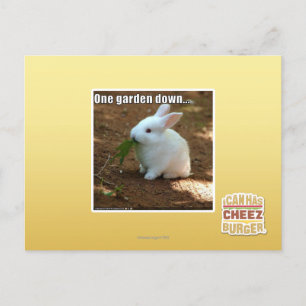 One Garden Down� Postcard
