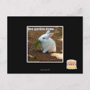 One Garden Down� Postcard