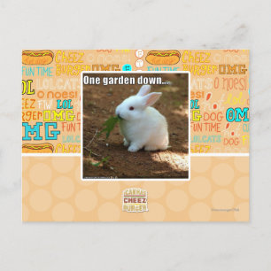 One Garden Down� Postcard