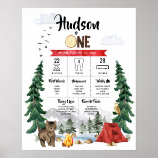 One Happy Camper 1st Birthday Milestone Chart