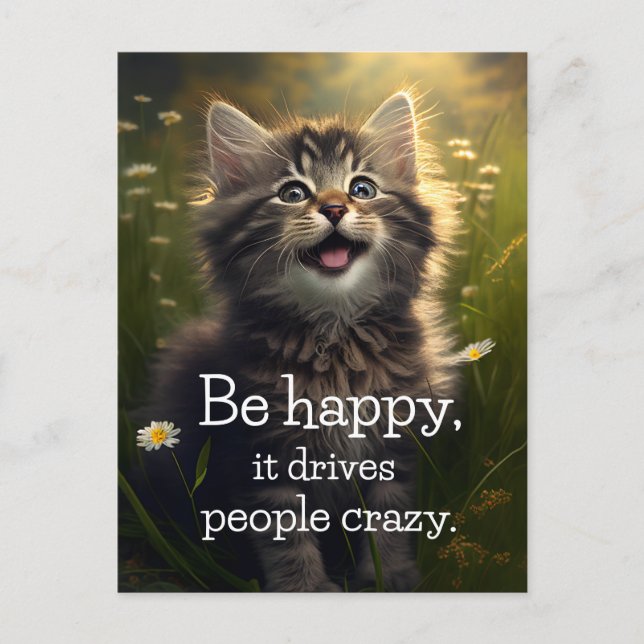 One Happy Fluffy Kitten - Happiness & Crazyness Postcard (Front)