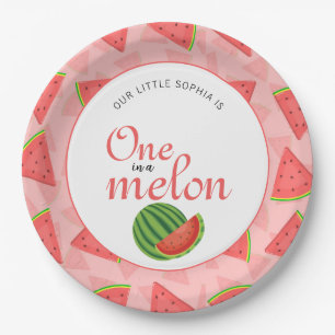 One In A Melon 1st Birthday Party Watermelon  Paper Plate