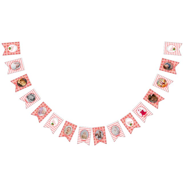 One In A Melon 1st Birthday Watermelon  Photo Bunt Bunting (All)