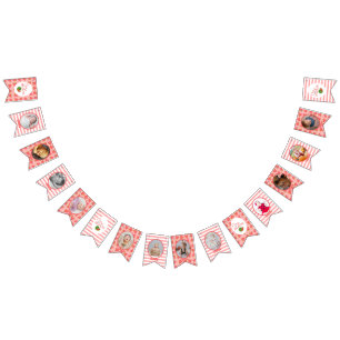 One In A Melon 1st Birthday Watermelon  Photo Bunting