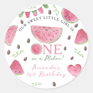 One in a Melon Cute Watermelon Girl 1st Birthday Classic Round Sticker