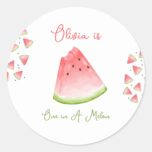 One in a Melon Watermelon Birthday  Classic Round Sticker