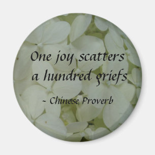 One joy scatters a hundred griefs magnet