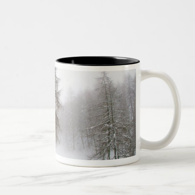 One leaning tree in a snow covered path Two-Tone coffee mug (Right)