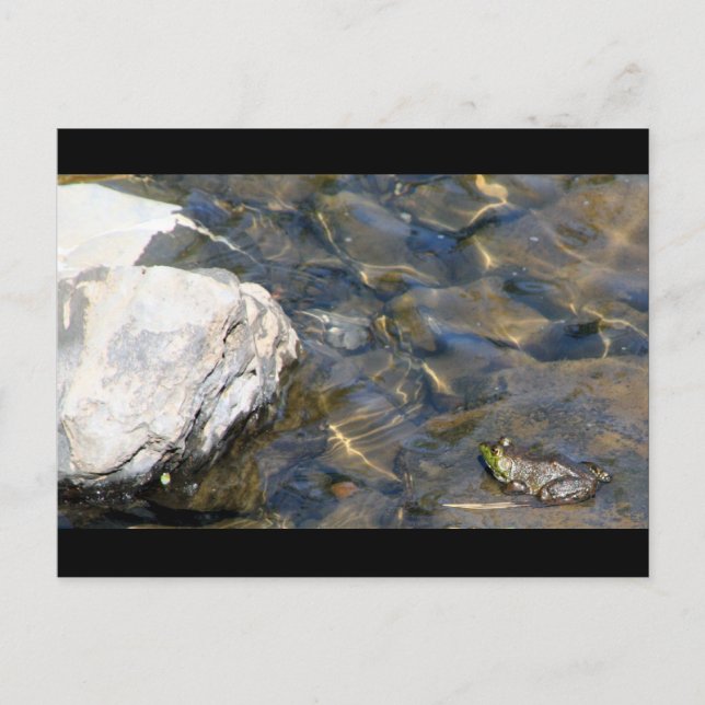 One Leap at a Time Postcard (Front)