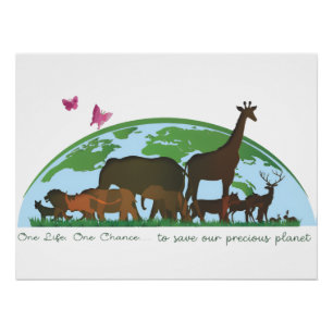 One life... One chance, to save our planet! Poster