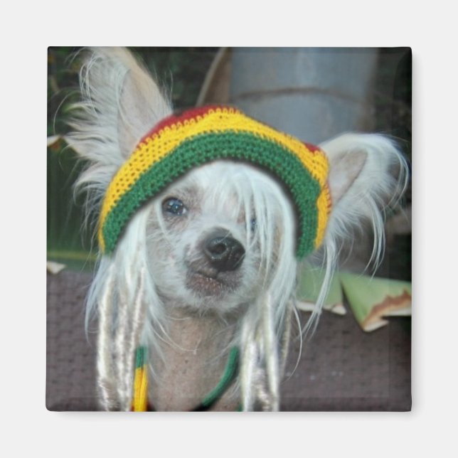 One Love Chinese Crested Rasta Dog Magnet (Front)