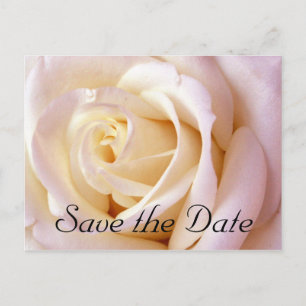 One Love, Save the Date Postcard