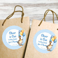 One lucky duck blue gingham birthday favour