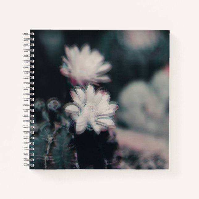 One Notebook (Front)