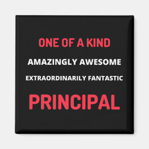 One Of A Kind Amazingly Awesome Magnet