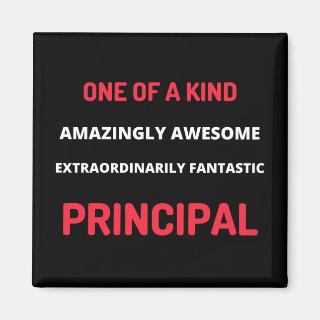 One Of A Kind Amazingly Awesome Magnet (Front)