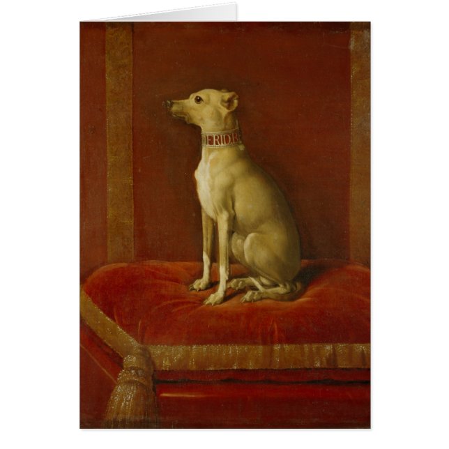 One of Frederick II's Italian greyhounds (Front)