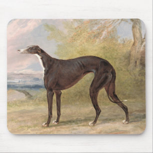 One of George Lane Fox's Winning Greyhounds: the B Mouse Pad