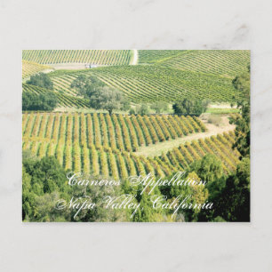 One of Napa Valley's many appellations or regions Postcard