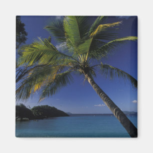 One of the World's Best beaches; Trunk Bay on Magnet