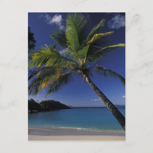 One of the World's Best beaches; Trunk Bay on Postcard (Front)