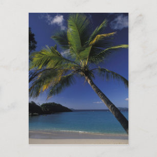 One of the World's Best beaches; Trunk Bay on Postcard