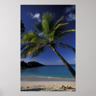One of the World's Best beaches; Trunk Bay on Poster