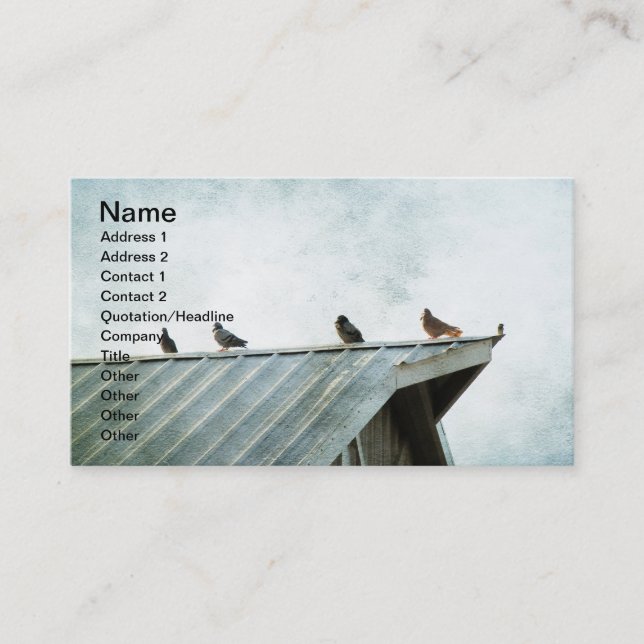 One of Them Does Not Belong, 4 Pigeons & 1 Sparrow Business Card (Front)