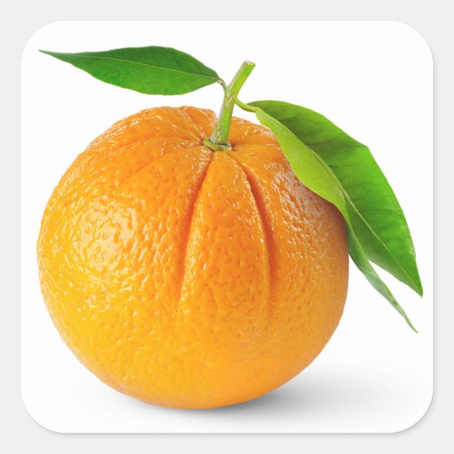 One orange fruit with leaves square sticker (Front)