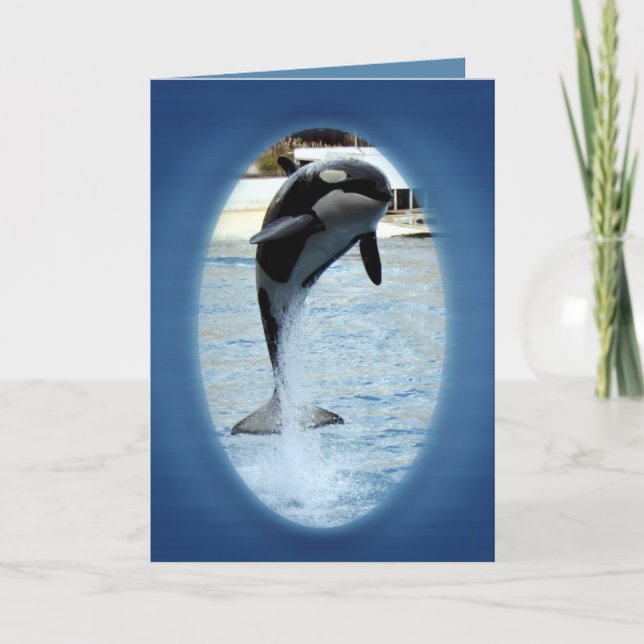 One Orca at Marineland (france) Card (Front)