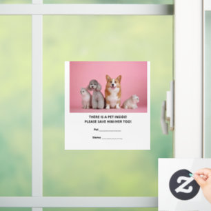 One Pet Emergency Rescue