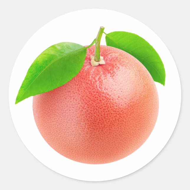 One pink grapefruit classic round sticker (Front)