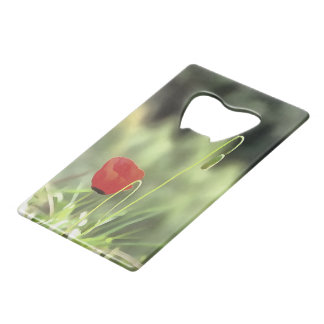 One Poppy Artistic Wildflower Painting